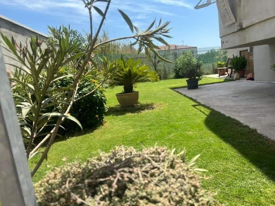 הוילה קליארי Casa Vacanze Federica מראה חיצוני תמונה